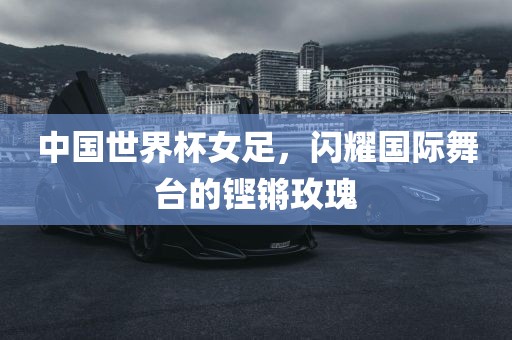 中国世界杯女足，闪耀国际舞台的铿锵玫瑰
