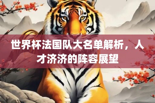 世界杯法国队大名单解析，人才济济的阵容展望