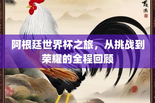 阿根廷世界杯之旅，从挑战到荣耀的全程回顾