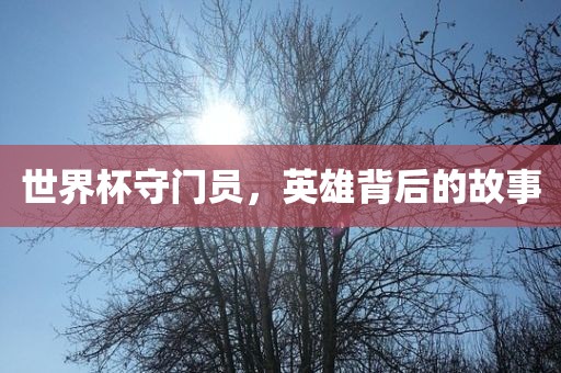 世界杯守门员，英雄背后的故事