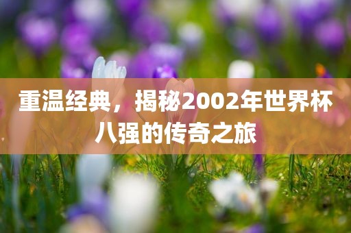 重温经典，揭秘2002年世界杯八强的传奇之旅