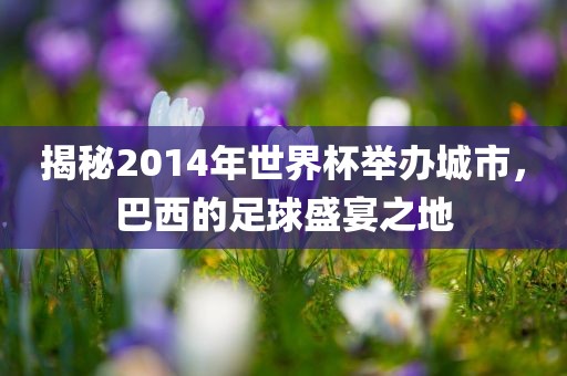揭秘2014年世界杯举办城市，巴西的足球盛宴之地