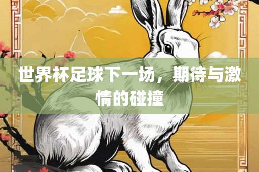 世界杯足球下一场，期待与激情的碰撞