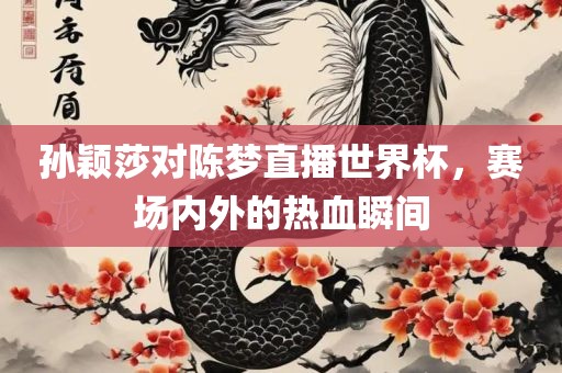 孙颖莎对陈梦直播世界杯，赛场内外的热血瞬间