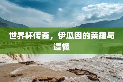 世界杯传奇，伊瓜因的荣耀与遗憾