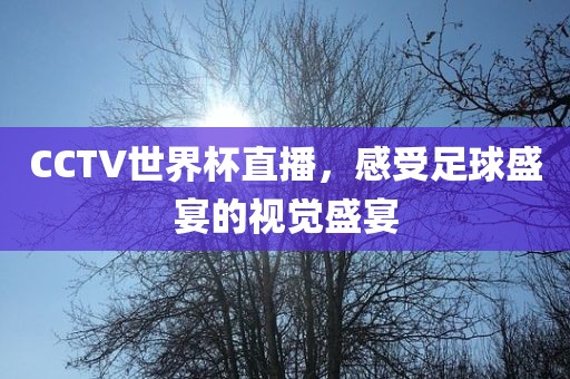 CCTV世界杯直播，感受足球盛宴的视觉盛宴