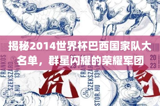 揭秘2014世界杯巴西国家队大名单，群星闪耀的荣耀军团