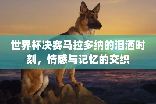世界杯决赛马拉多纳的泪洒时刻，情感与记忆的交织