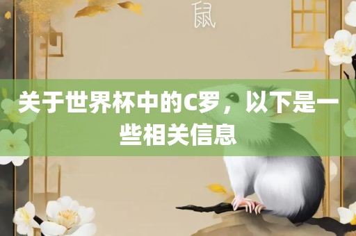关于世界杯中的C罗，以下是一些相关信息