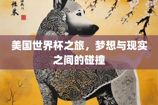 美国世界杯之旅，梦想与现实之间的碰撞