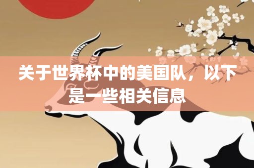 关于世界杯中的美国队，以下是一些相关信息
