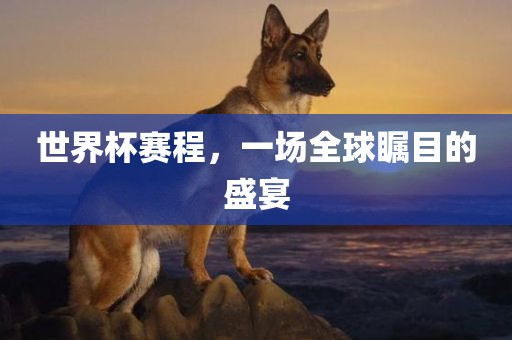 世界杯赛程，一场全球瞩目的盛宴