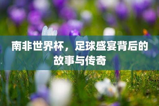 南非世界杯，足球盛宴背后的故事与传奇