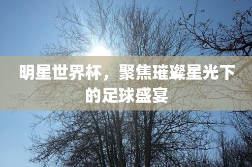 明星世界杯，聚焦璀璨星光下的足球盛宴