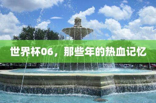 世界杯06，那些年的热血记忆