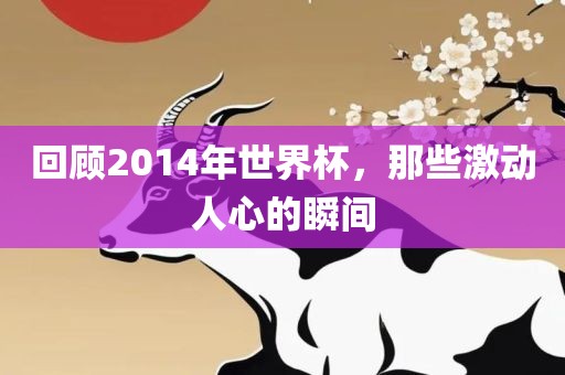 回顾2014年世界杯，那些激动人心的瞬间