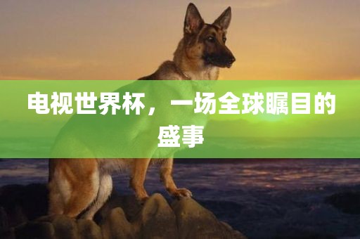 电视世界杯，一场全球瞩目的盛事