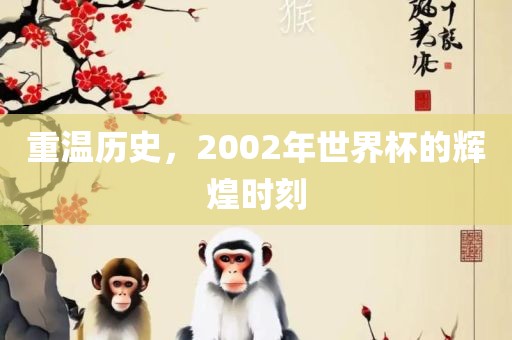 重温历史，2002年世界杯的辉煌时刻
