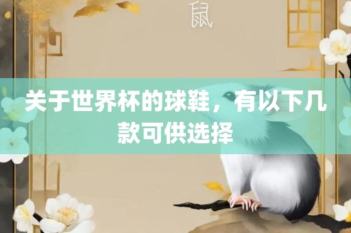 关于世界杯的球鞋，有以下几款可供选择