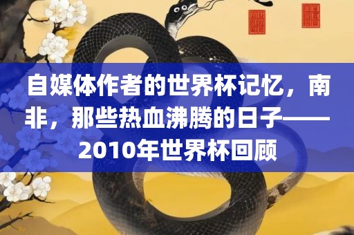 自媒体作者的世界杯记忆，南非，那些热血沸腾的日子——2010年世界杯回顾