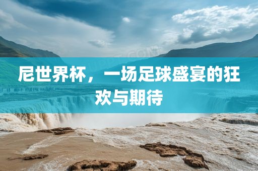 尼世界杯，一场足球盛宴的狂欢与期待
