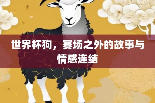 世界杯狗，赛场之外的故事与情感连结
