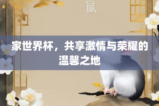 家世界杯，共享激情与荣耀的温馨之地
