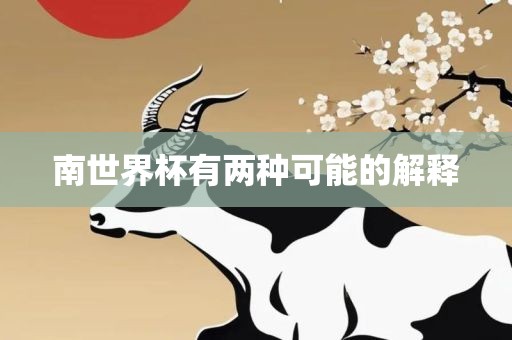 南世界杯有两种可能的解释