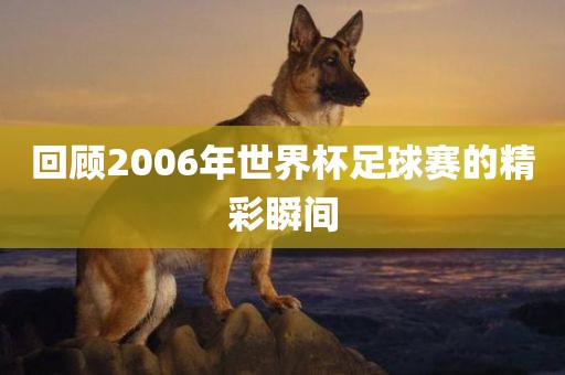 回顾2006年世界杯足球赛的精彩瞬间