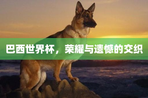 巴西世界杯，荣耀与遗憾的交织