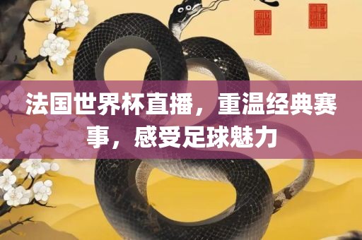 法国世界杯直播，重温经典赛事，感受足球魅力