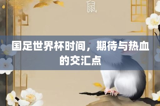 国足世界杯时间，期待与热血的交汇点