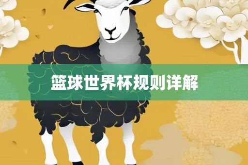 篮球世界杯规则详解