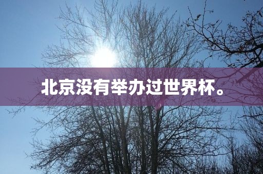 北京没有举办江门市永晋源无纺布有限公司过世界杯。