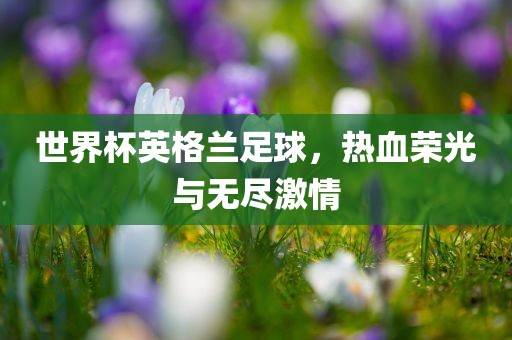 世界杯英格兰足球，热血荣光与无尽激情