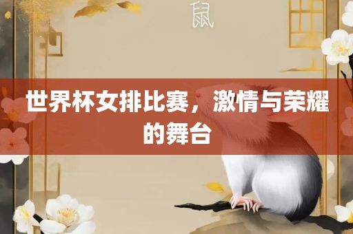 世界杯女排比赛，激情与荣耀的舞台
