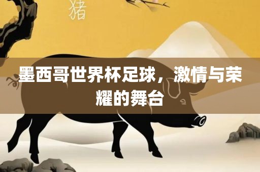 墨西哥世界杯足球，激情与荣耀的舞台