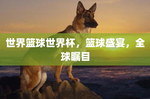 世界篮球世界杯，篮球盛宴，全球瞩目