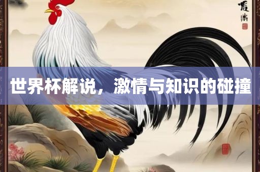 世界杯解说，激情与知识的碰撞