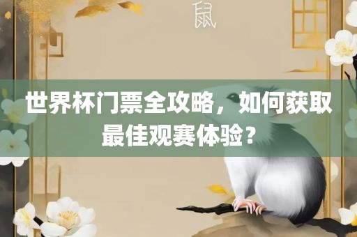 世界杯门票全攻略，如何获取最佳观赛体验？