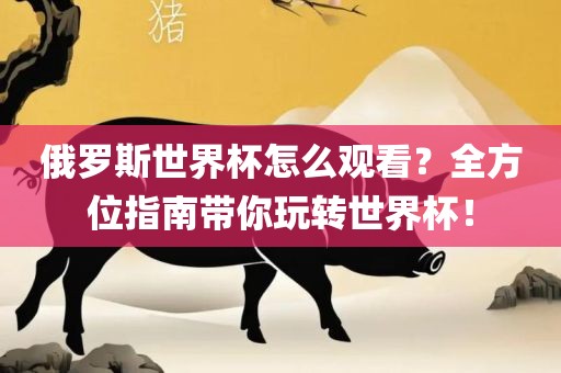 俄罗斯世界杯怎么观看？全方位指南带你玩转世界杯！