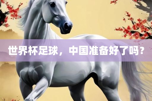 世界杯足球，中国准备好了吗？