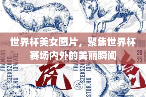 世界杯美女图片，聚焦世界杯赛场内外的美丽瞬间
