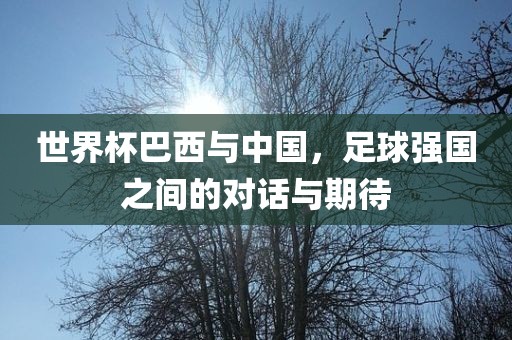 世界杯巴西与中国，足球强国之间的对话与期待