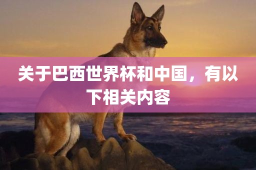 关于巴西世界杯和中国，有以下相关内容