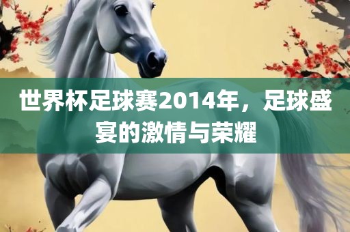 世界杯足球赛2014年，足球盛宴的激情与荣耀