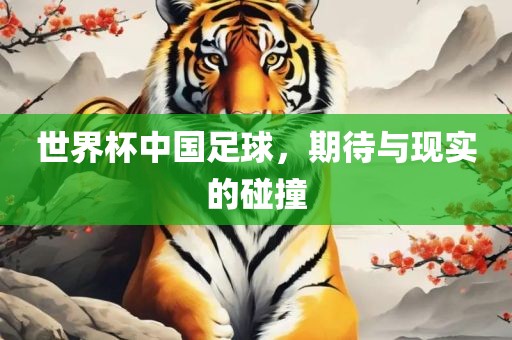 世界杯中国足球，期待与现实的碰撞