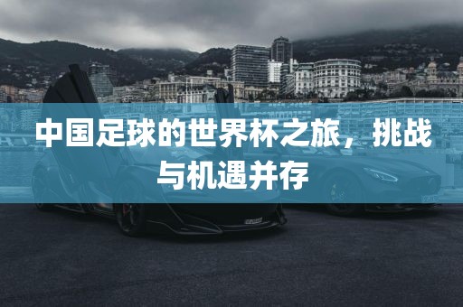 中国足球的世界杯之旅，挑战与机遇并存