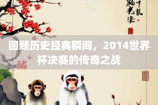 回顾历史经典瞬间，2014世界杯决赛的传奇之战