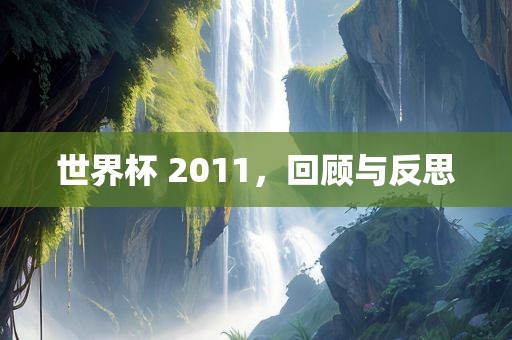 世界杯 2011，回顾与反思